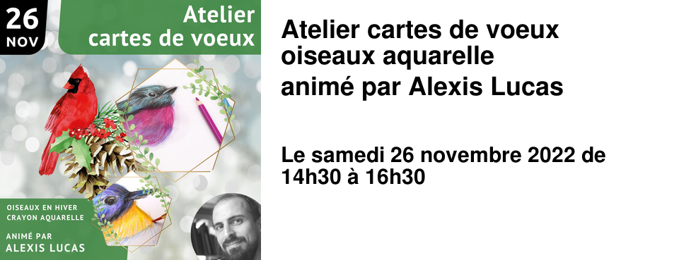 Atelier cartes de voeux oiseaux aquarelle anim� par Alexis Lucas